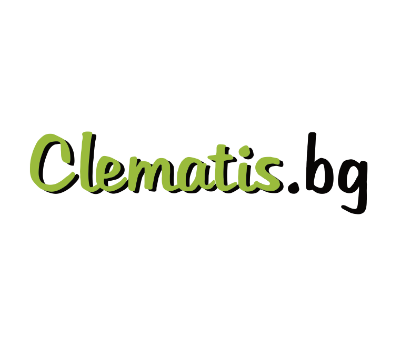 Clematis